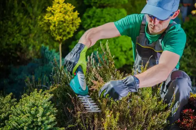 landscaping services Jefferson Heights